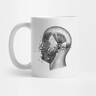 Human Skull Muscular Diagram Mug